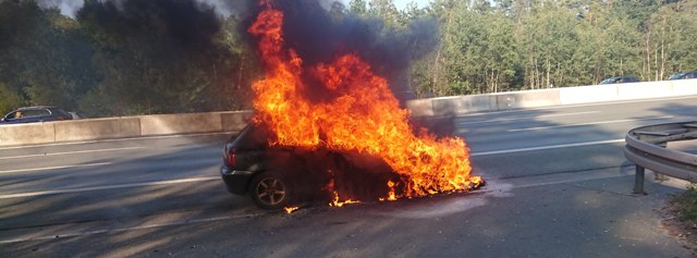 DSC_0315 zugeschnitten groß.jpg